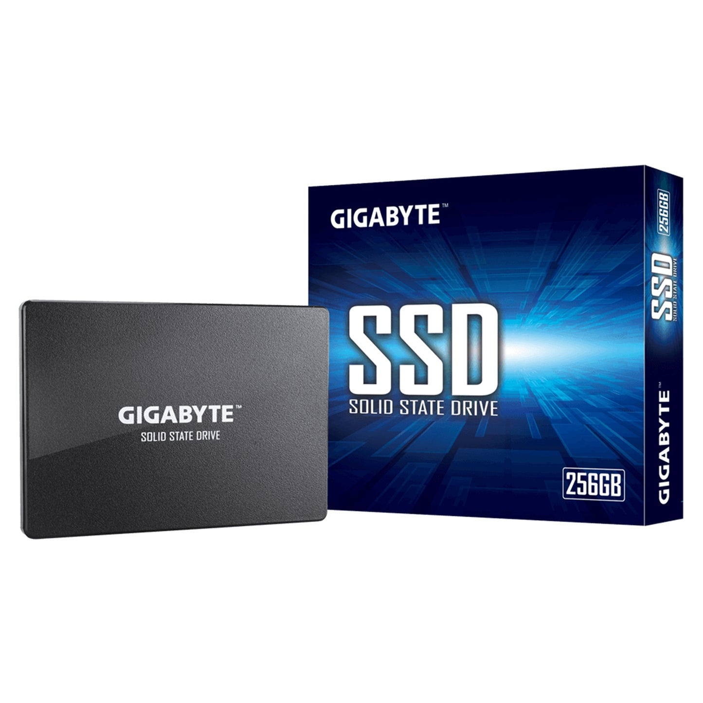 Gigabyte GP-GSTFS31256GTND 256GB, SATA III, Read 520MB/s, Write 500MB/s, 3 Year Warranty